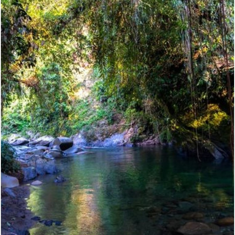 Volver a la tierra Cocorna, rio Melcocho, Antioquia